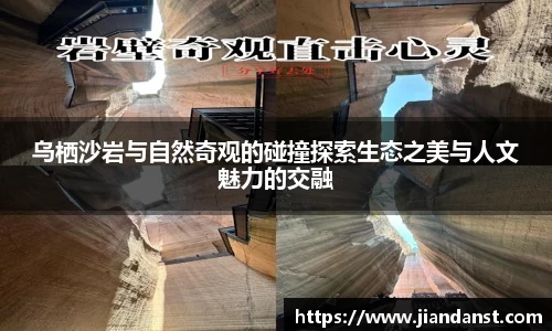 im电竞官网