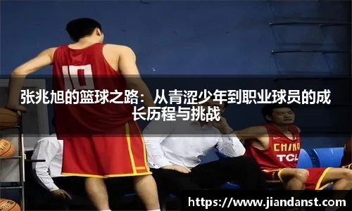 im电竞官网